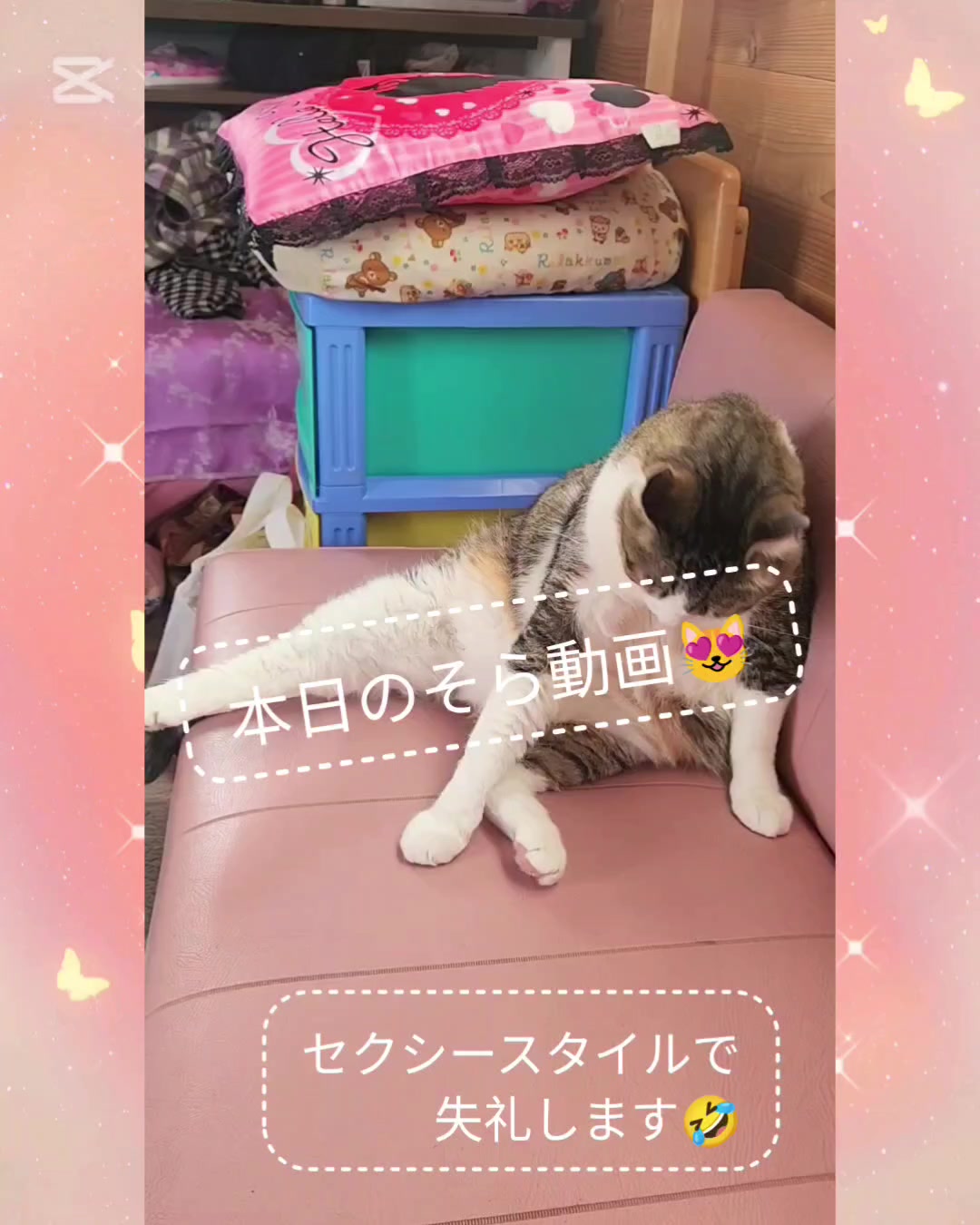 @momo