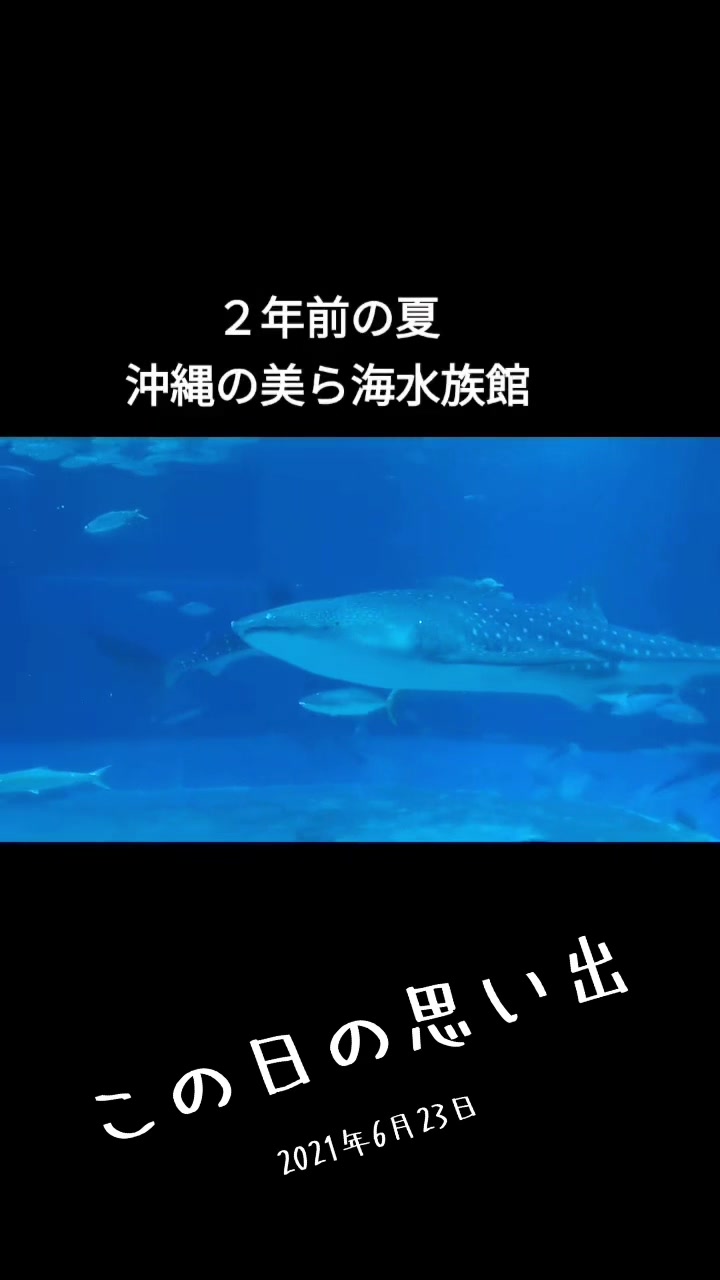 @Bunta