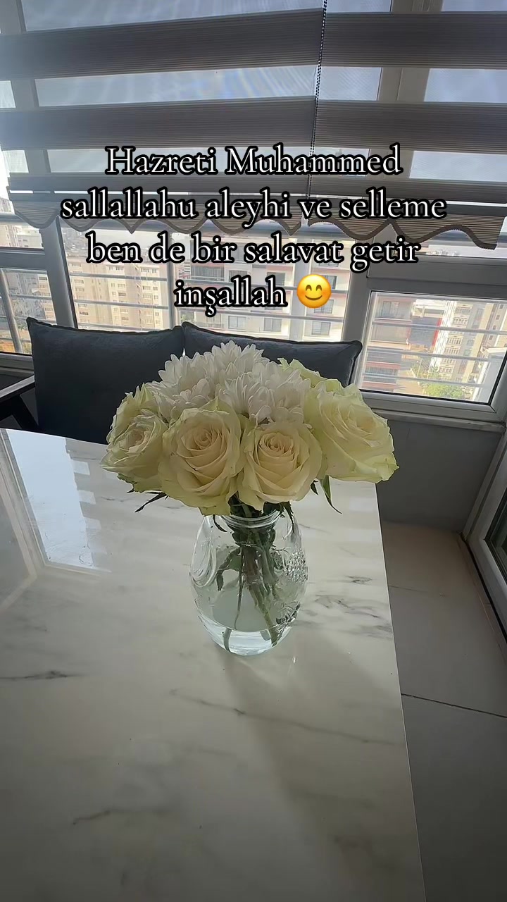 @papatyamm
