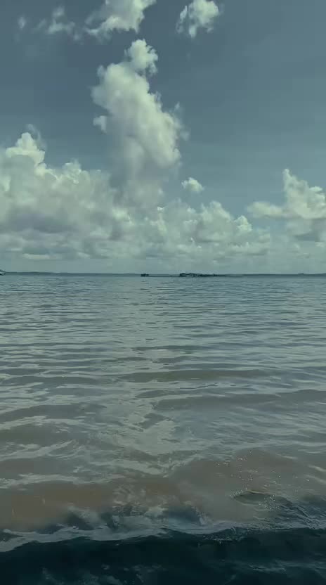 @jubullbetaikkkk1