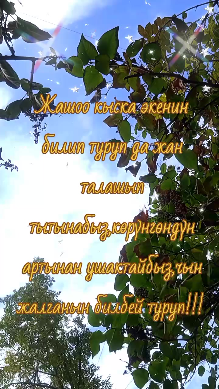 @BERMETIC