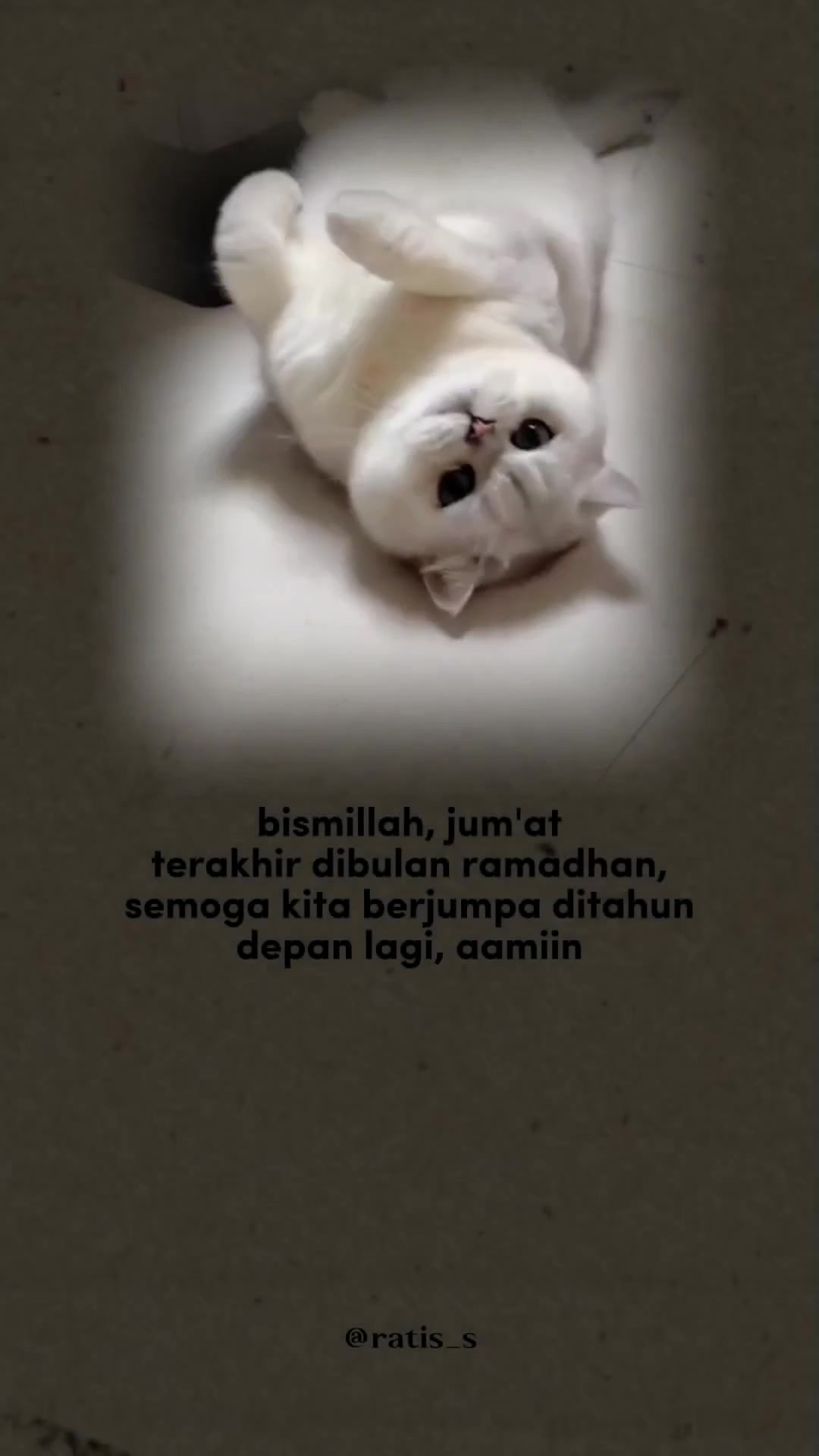 @ratsss