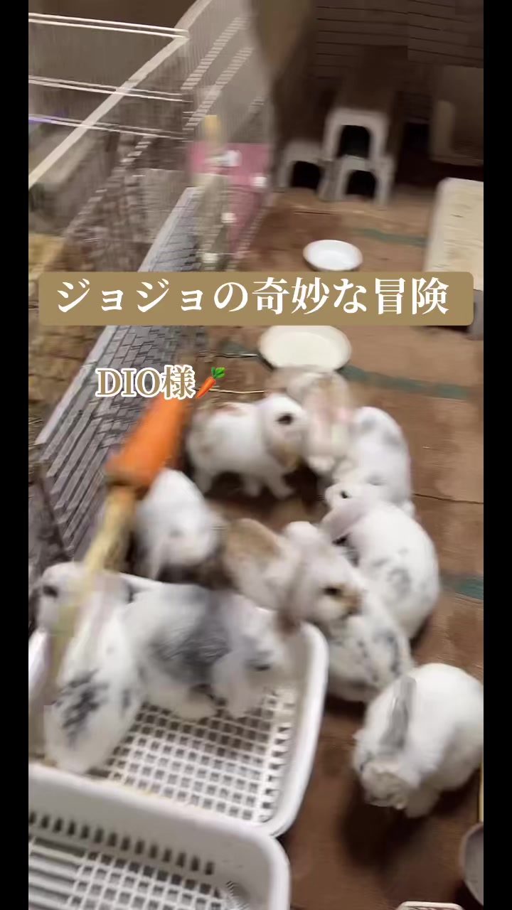 @billion_farm