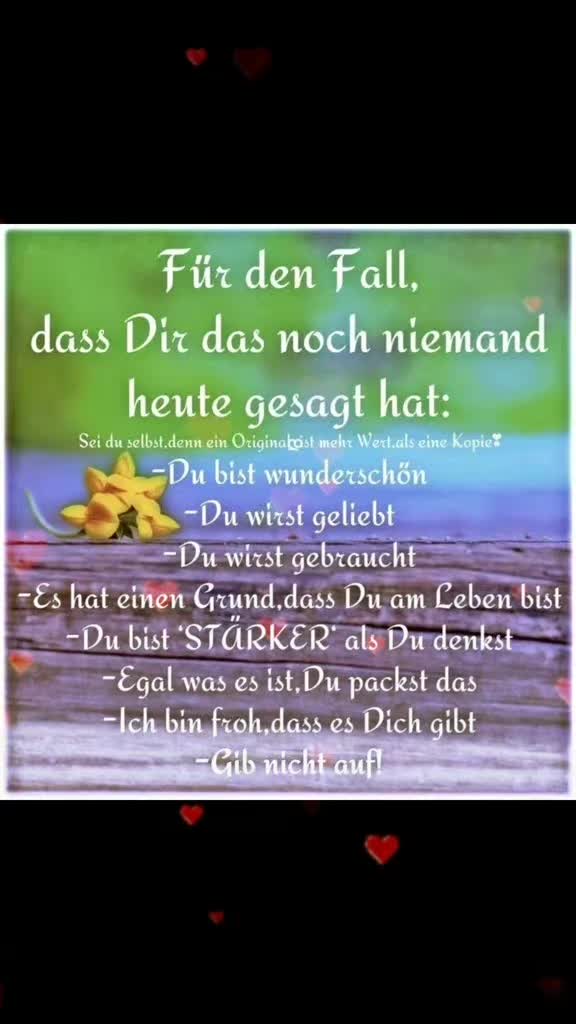 @stefangeilhausen3
