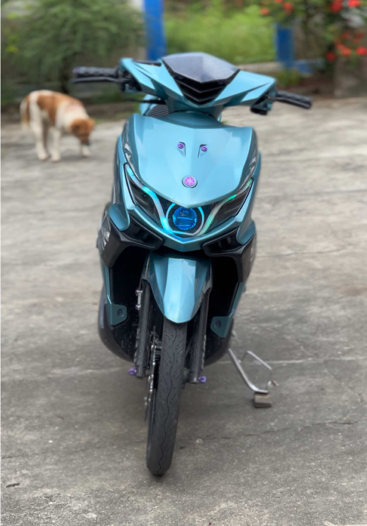 @Xenzy🇻🇳
