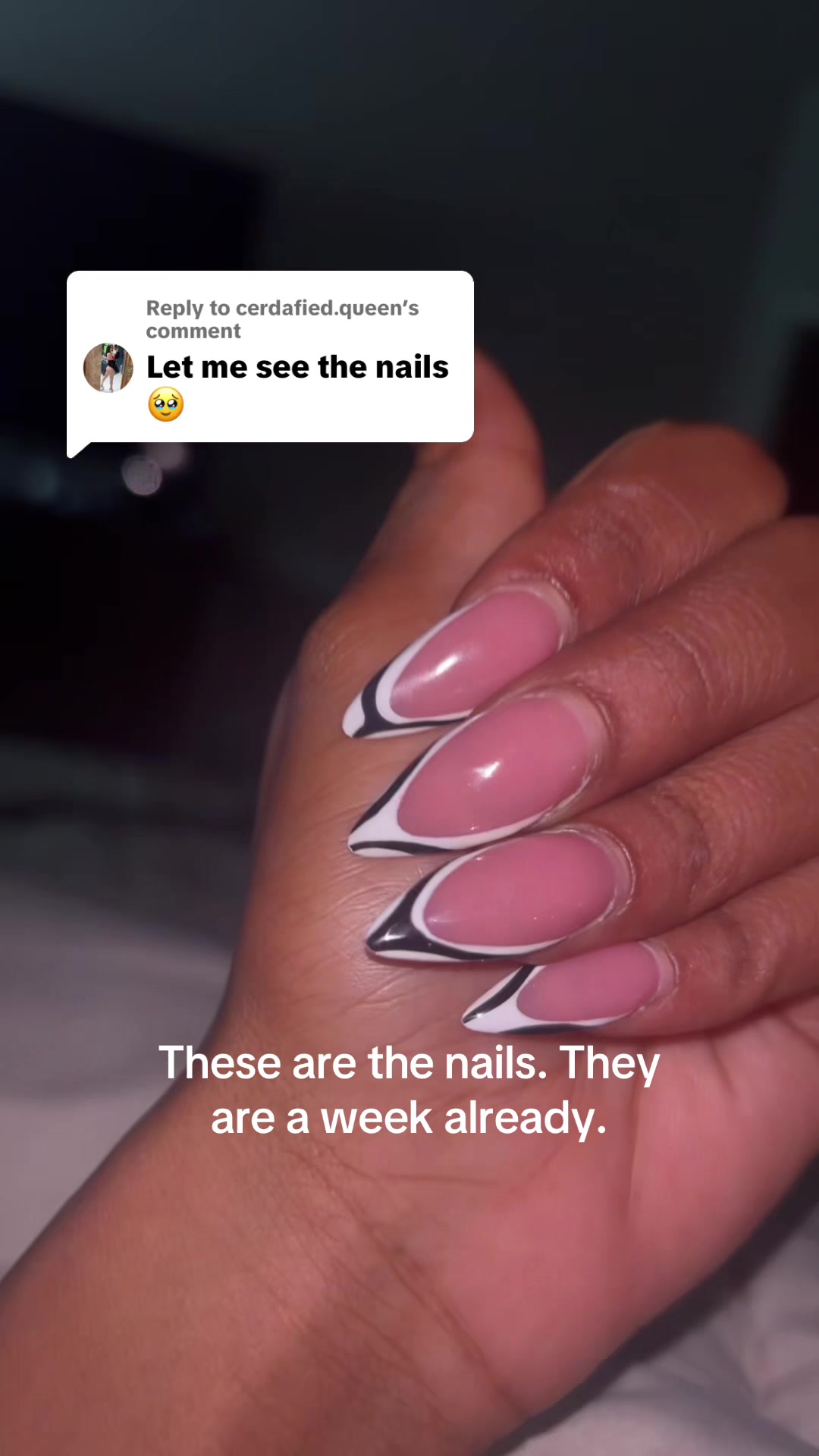 @Ari D.