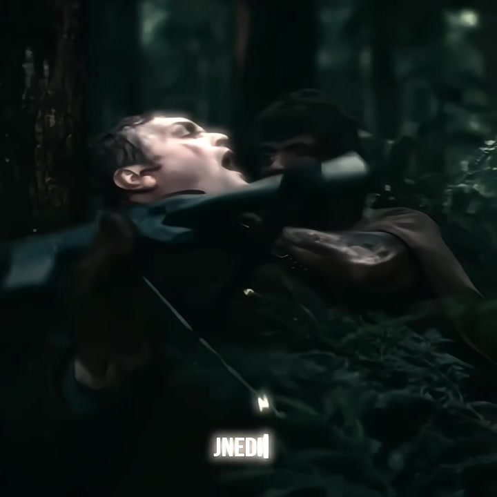 @JN_EDITX 🐺
