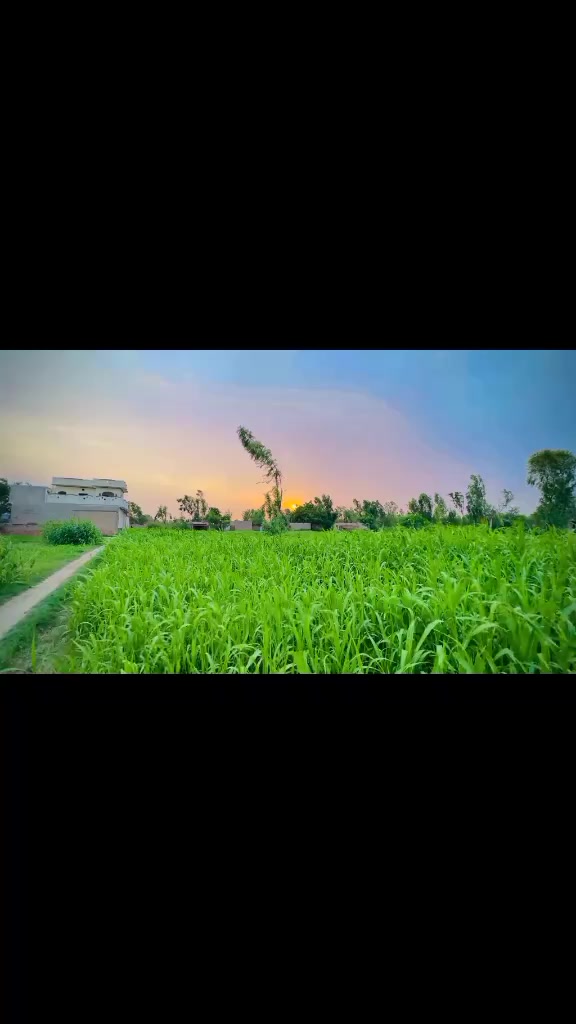 @123456🌹🌹🇵🇰🥀🌹