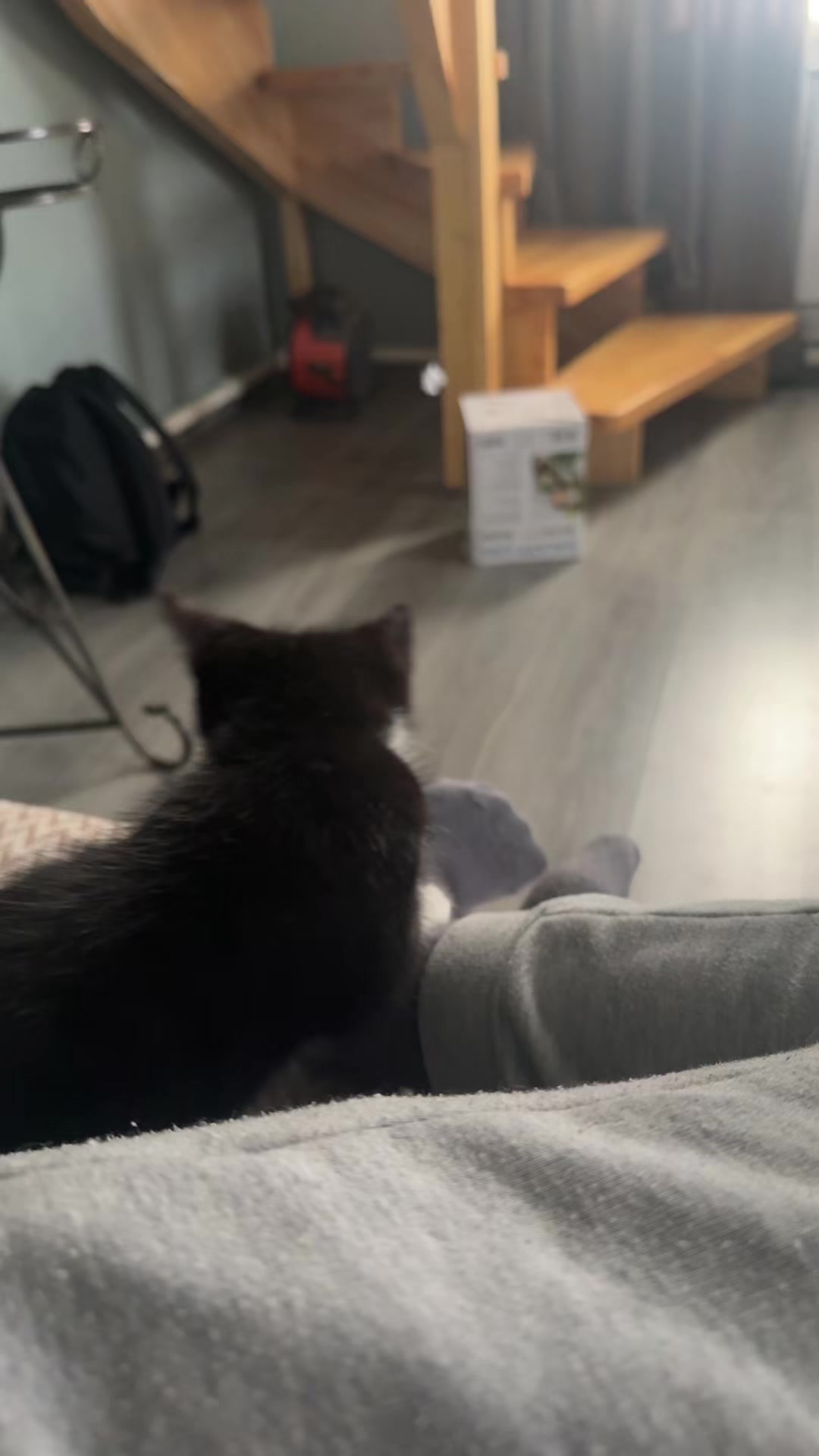 @Картофель