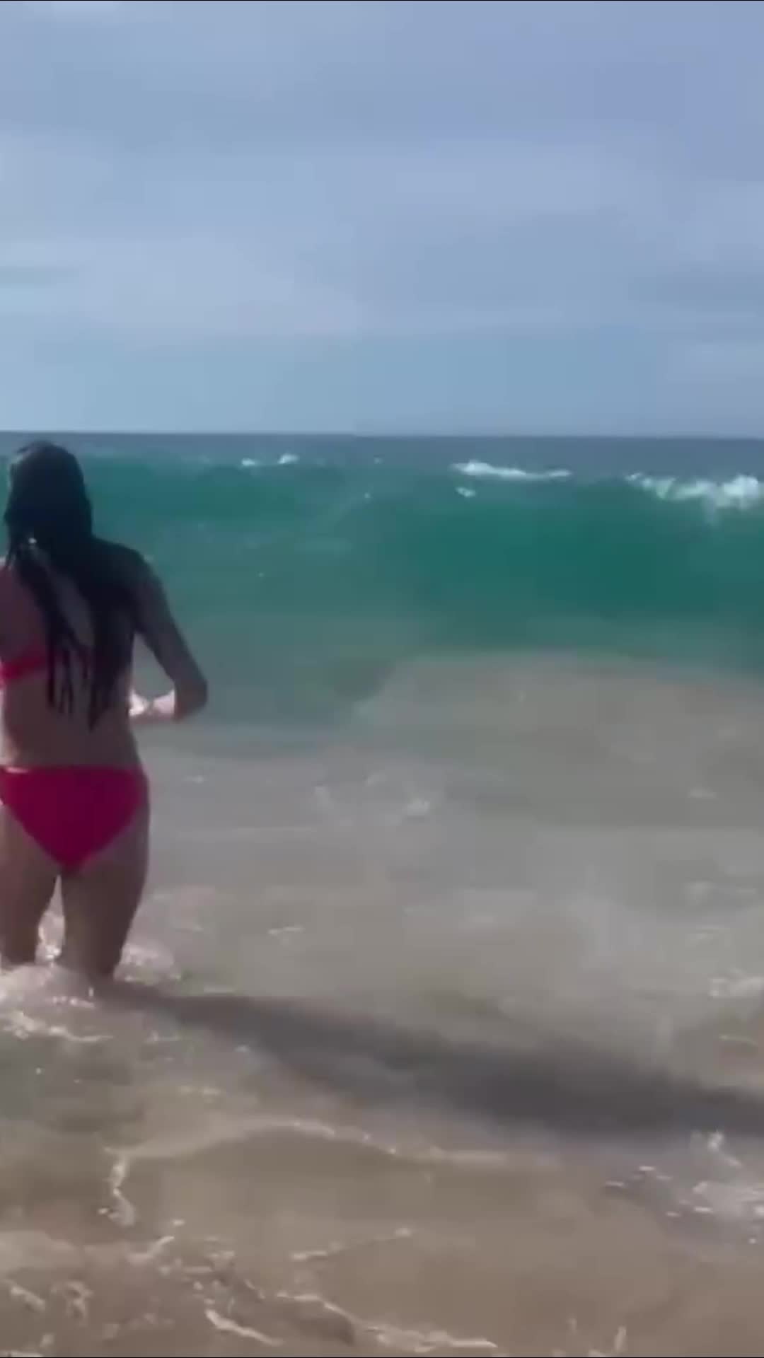@gainsinbulk