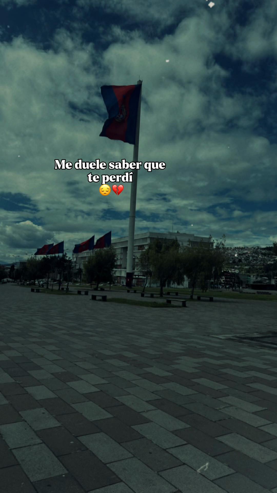 @Alex Vega 🥷