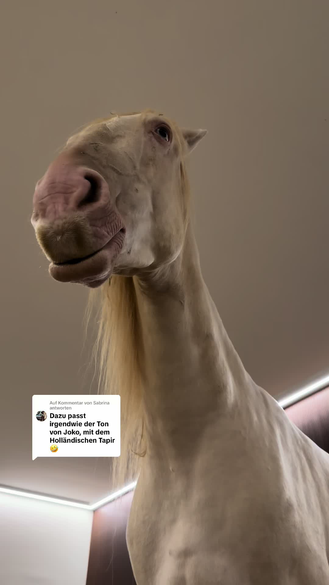 @l e a j e l l