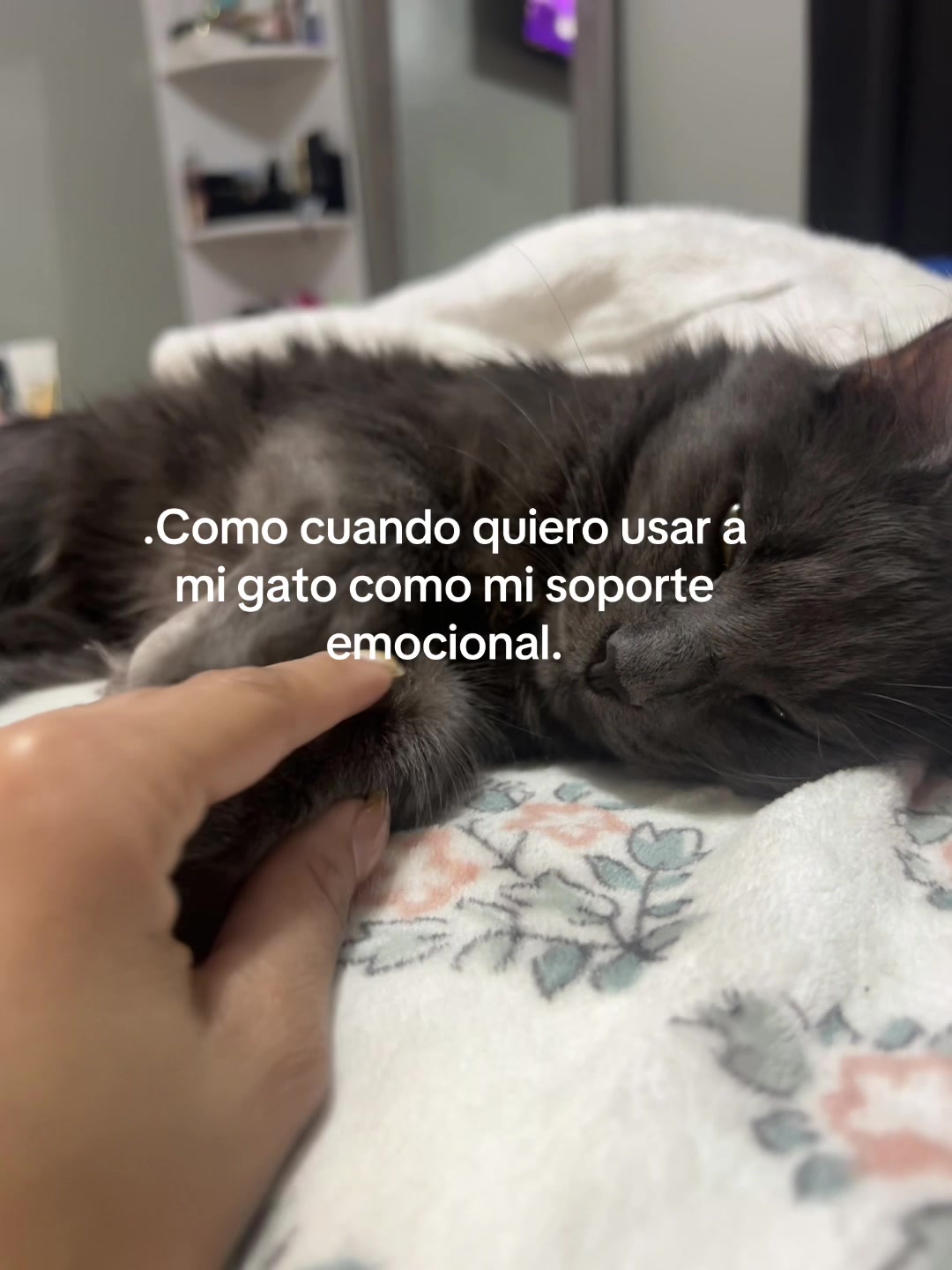 @Keyssi🤍🤞🏻