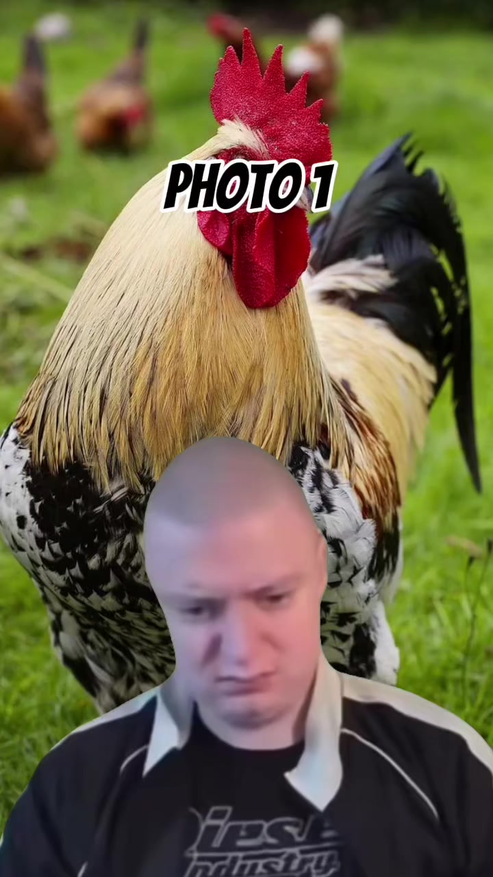 @korotikov