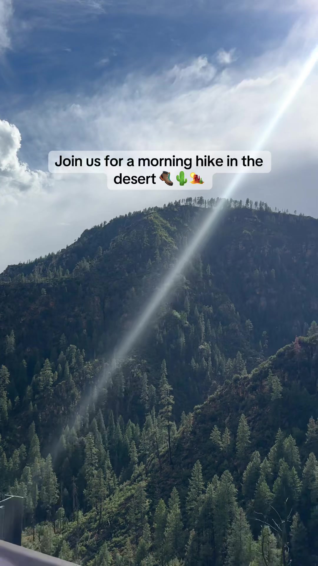 @Max🪻🌞🌲