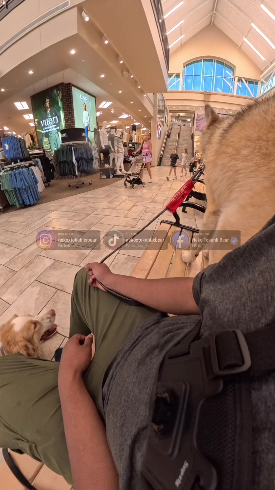 @Neko, Tokahli and Bear