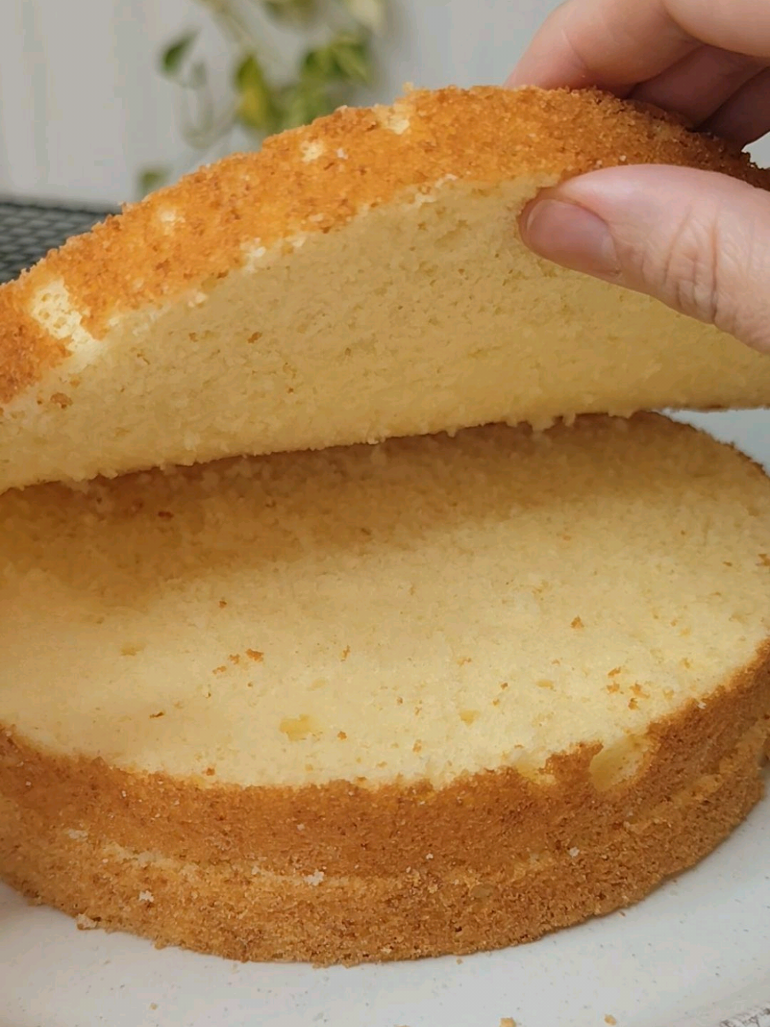 @Metida a Gourmet