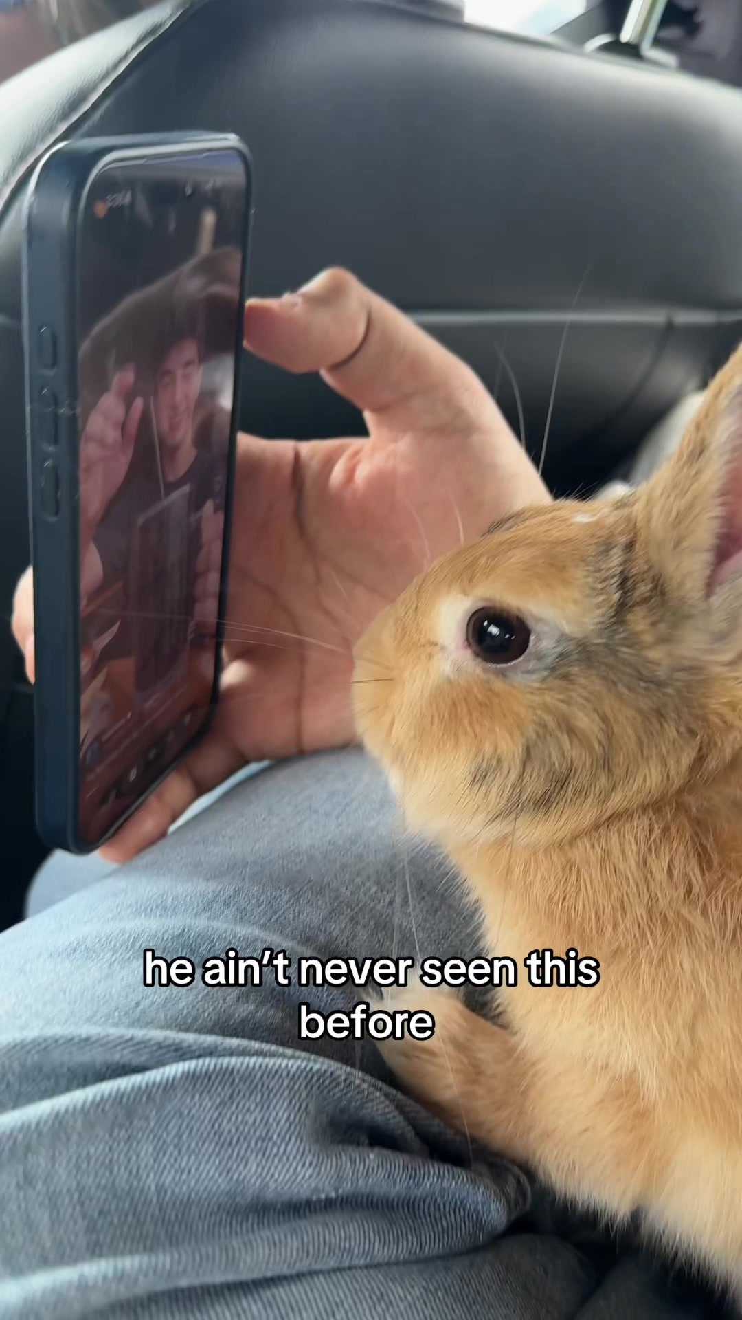 @Boba 🐰🩵