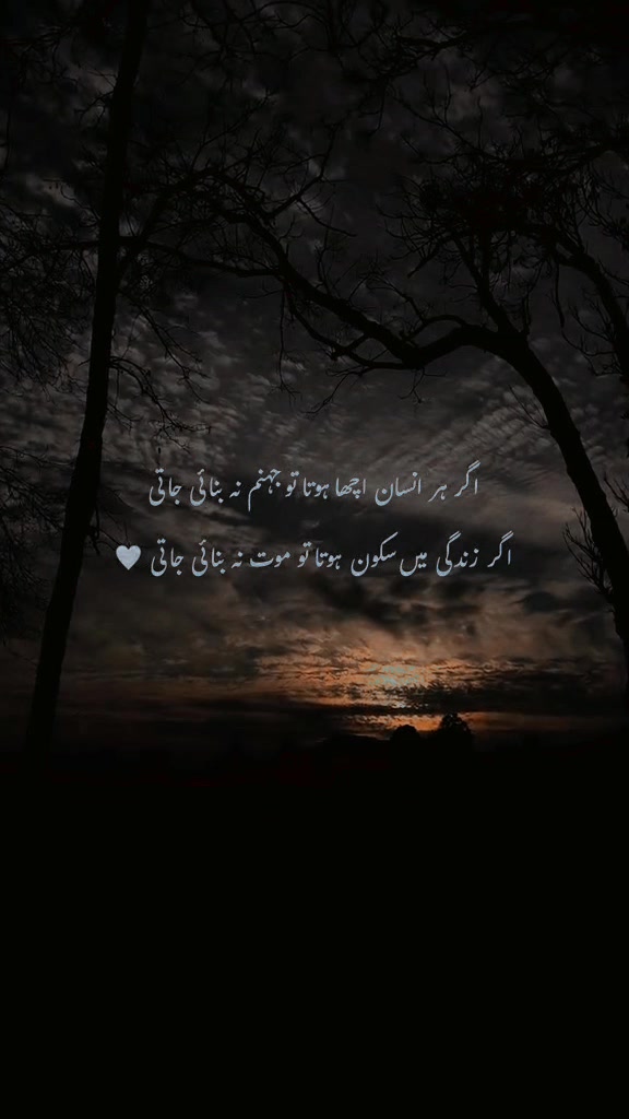 @@mia Afzal 🥰🫶