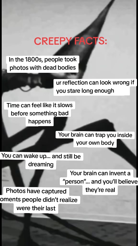 @𝐒𝐭𝐚𝐜𝐲✰⋆. 𐙚 ˚🦋