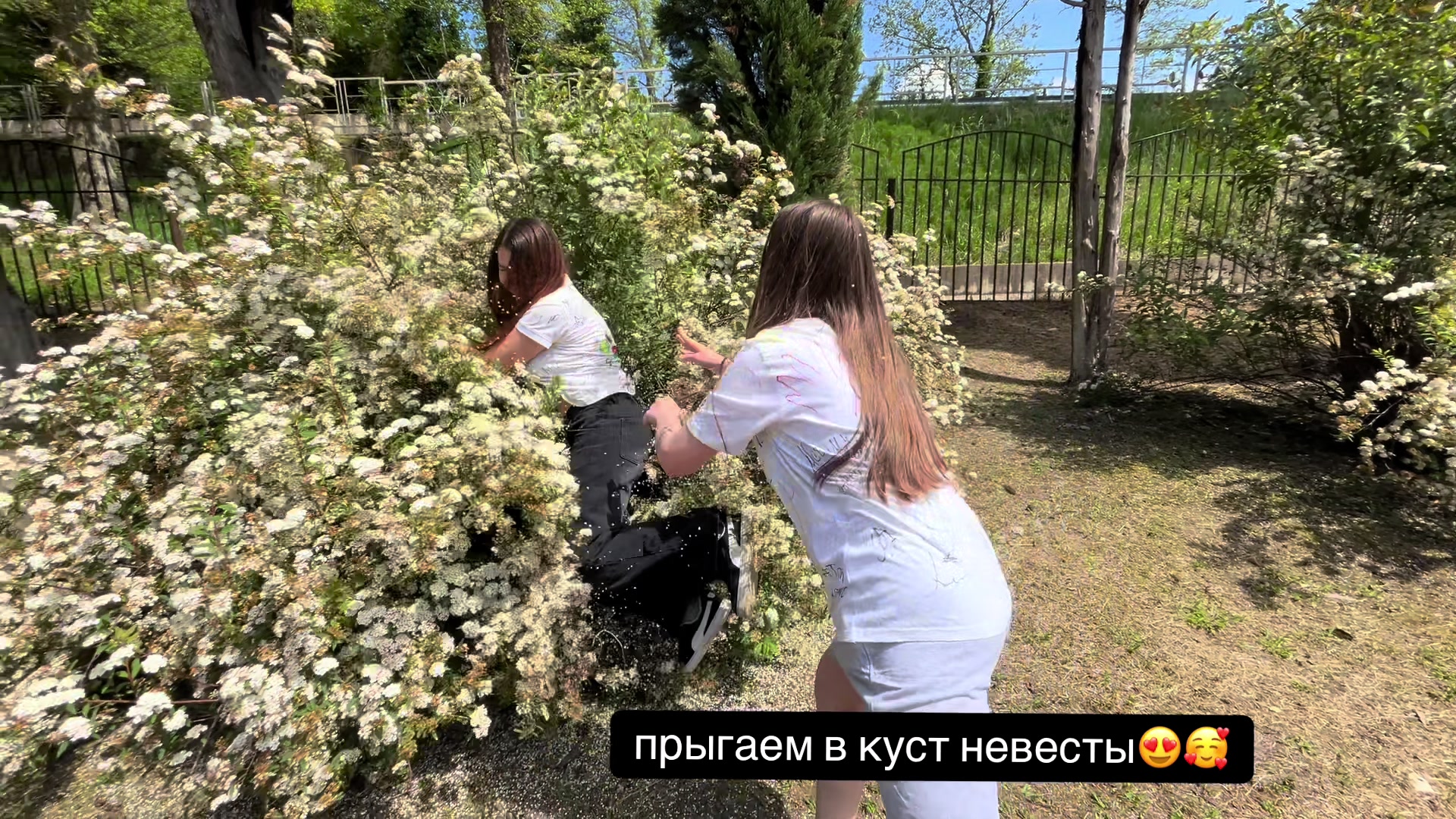 @☦️🇦🇲