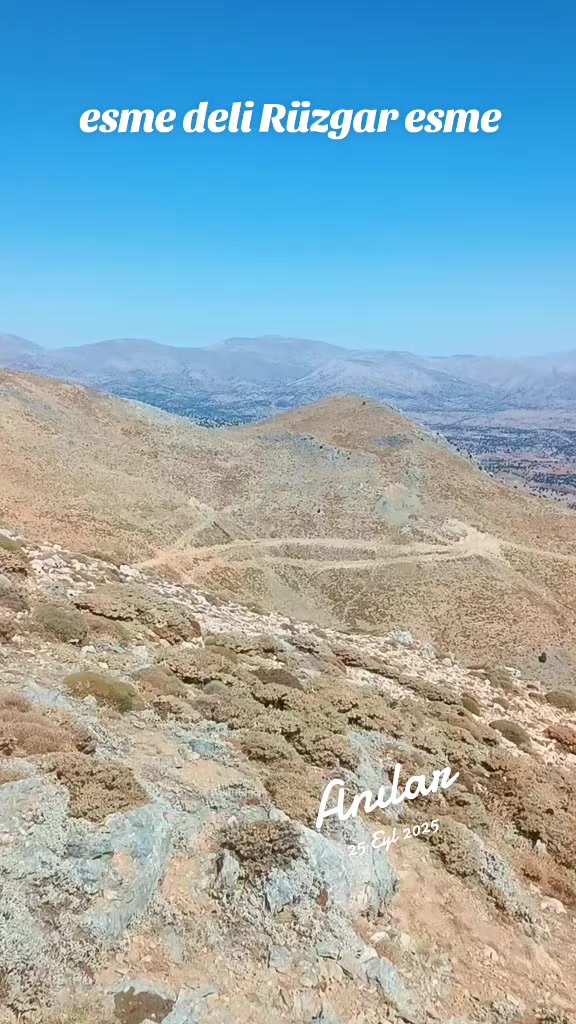@DAĞCI.46