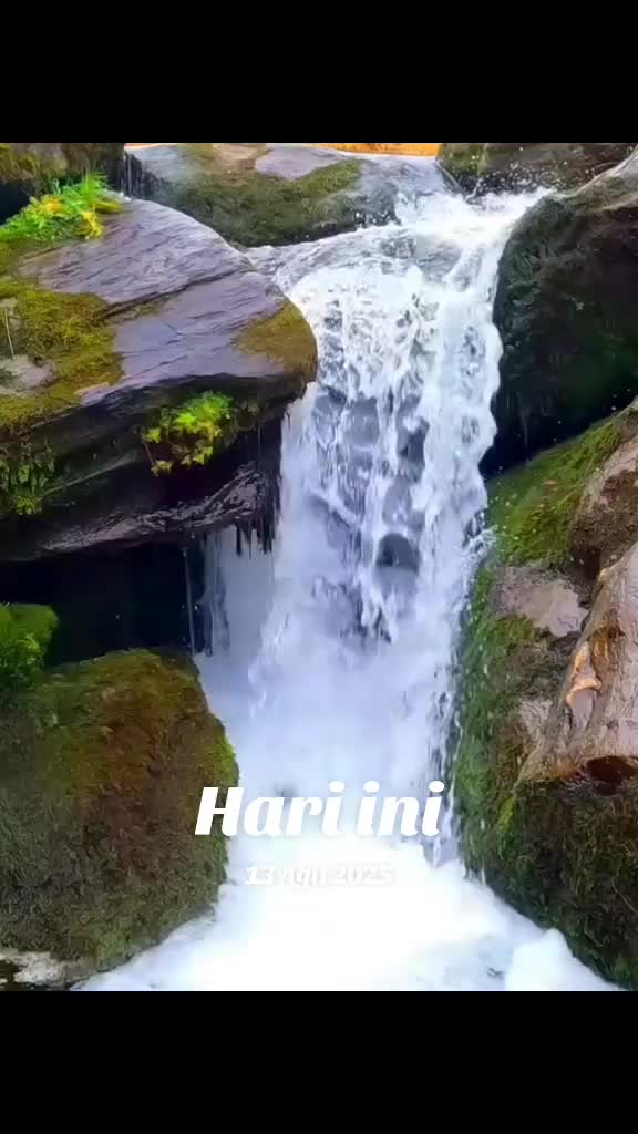 @legend19