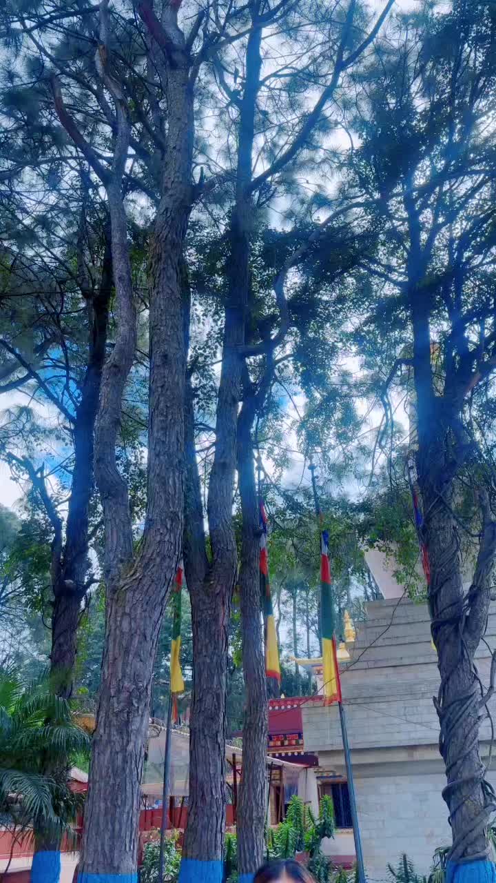 @Nirmala Rai