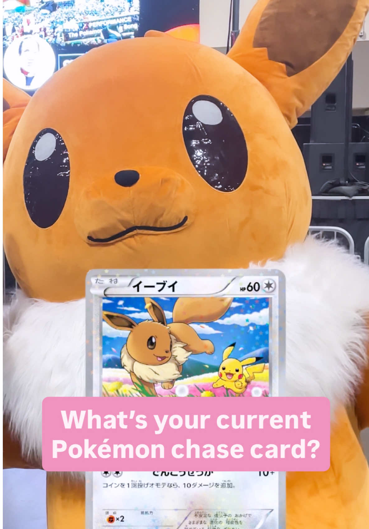 @Lisa Collects