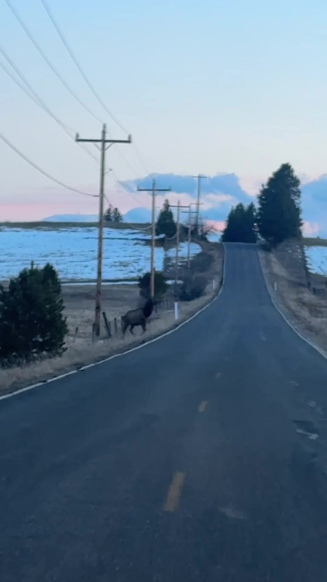 @🏔️Idaho Outdoors Brandi🌲🏔️