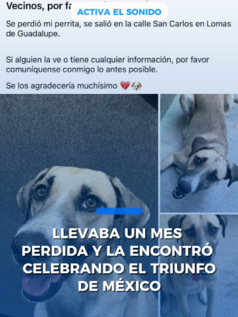 @Peri&oacute;dico El Mexicano