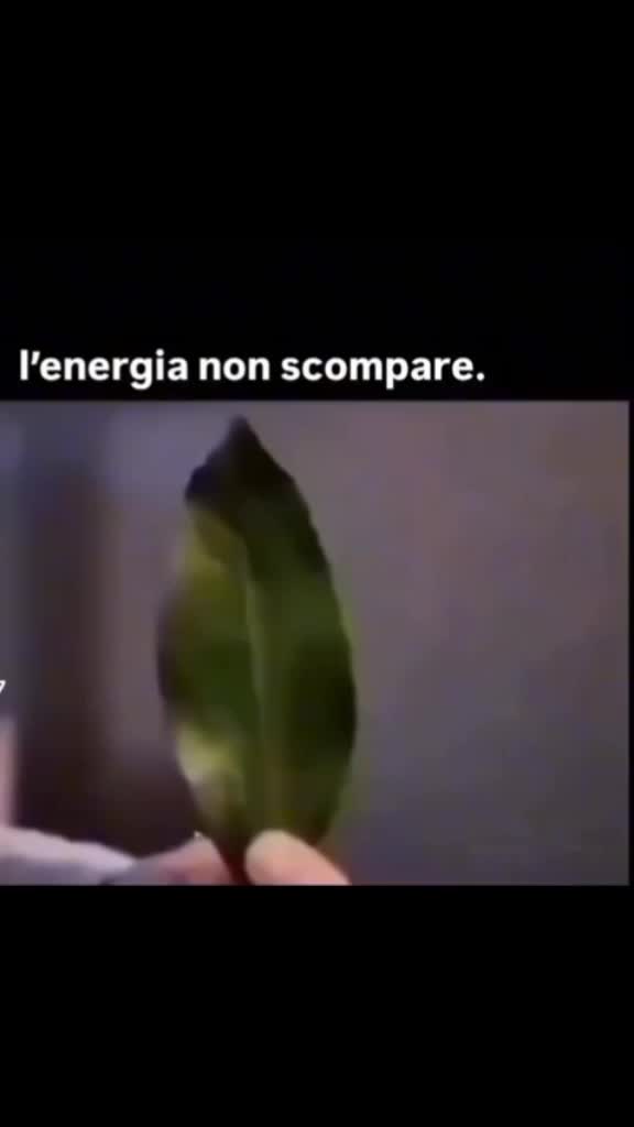 @Real or Fake