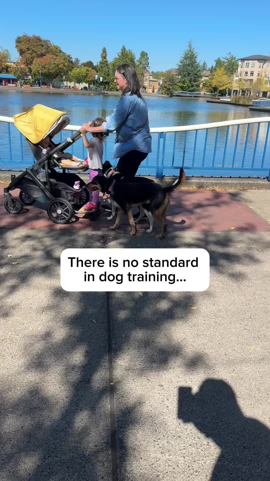 @forthedogs