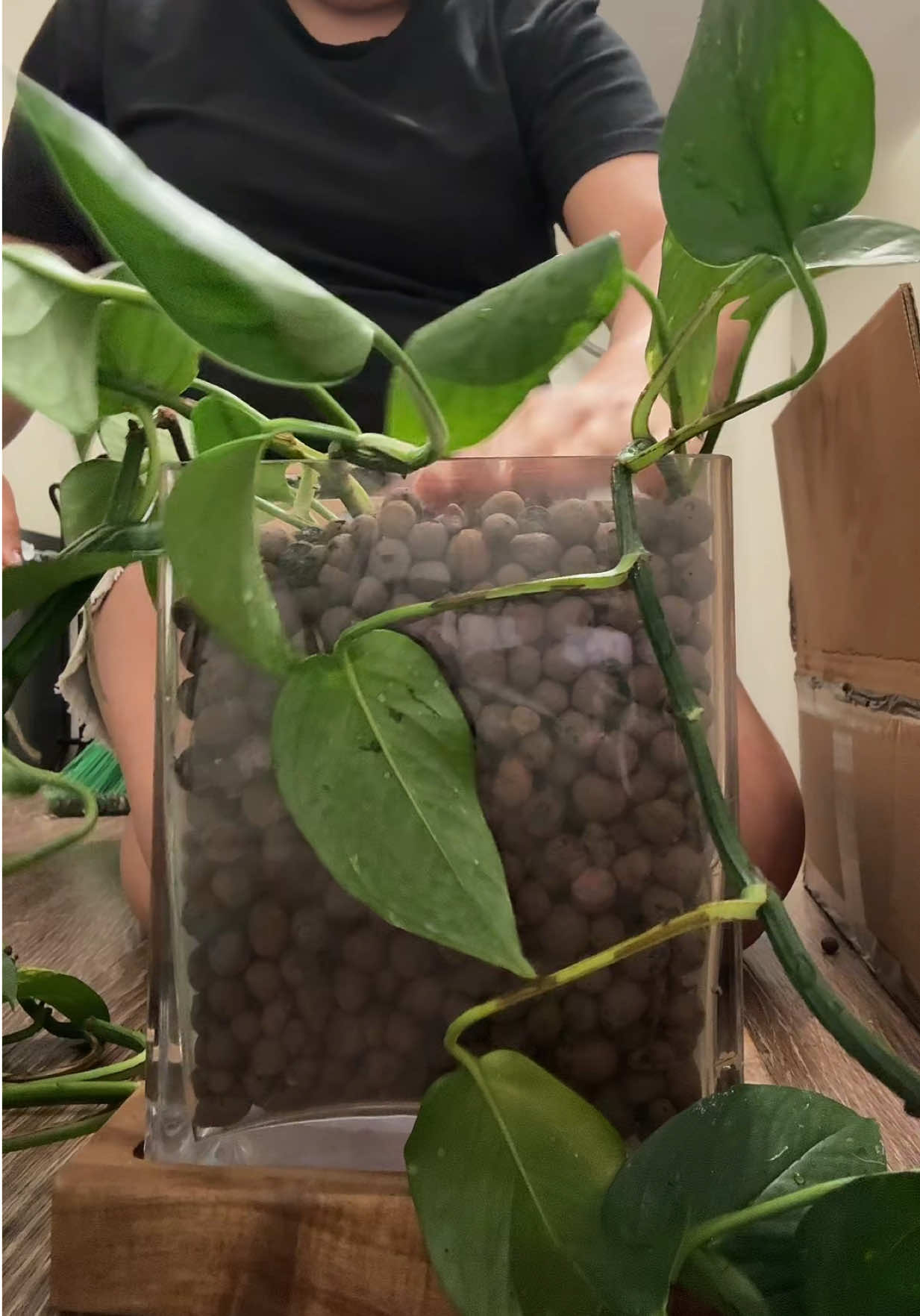 @chi.chi_luz