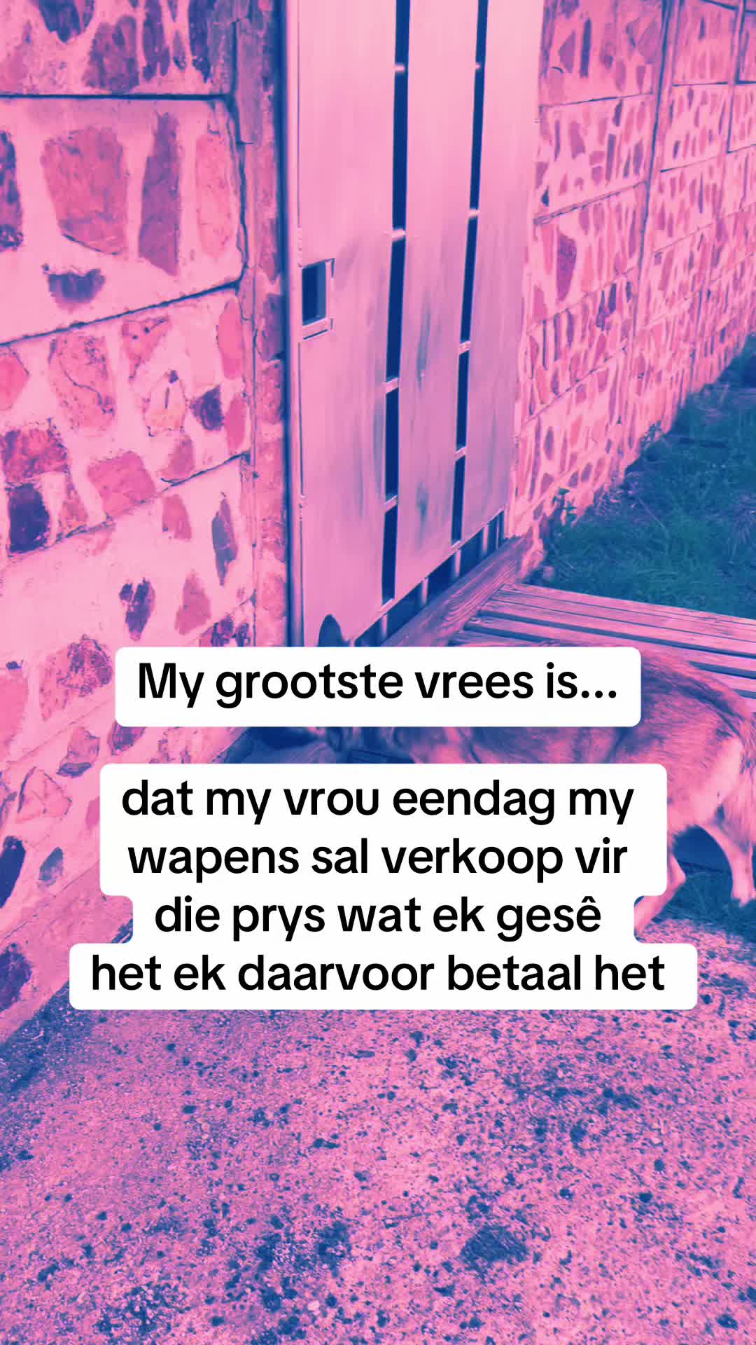 @Sarel Marais