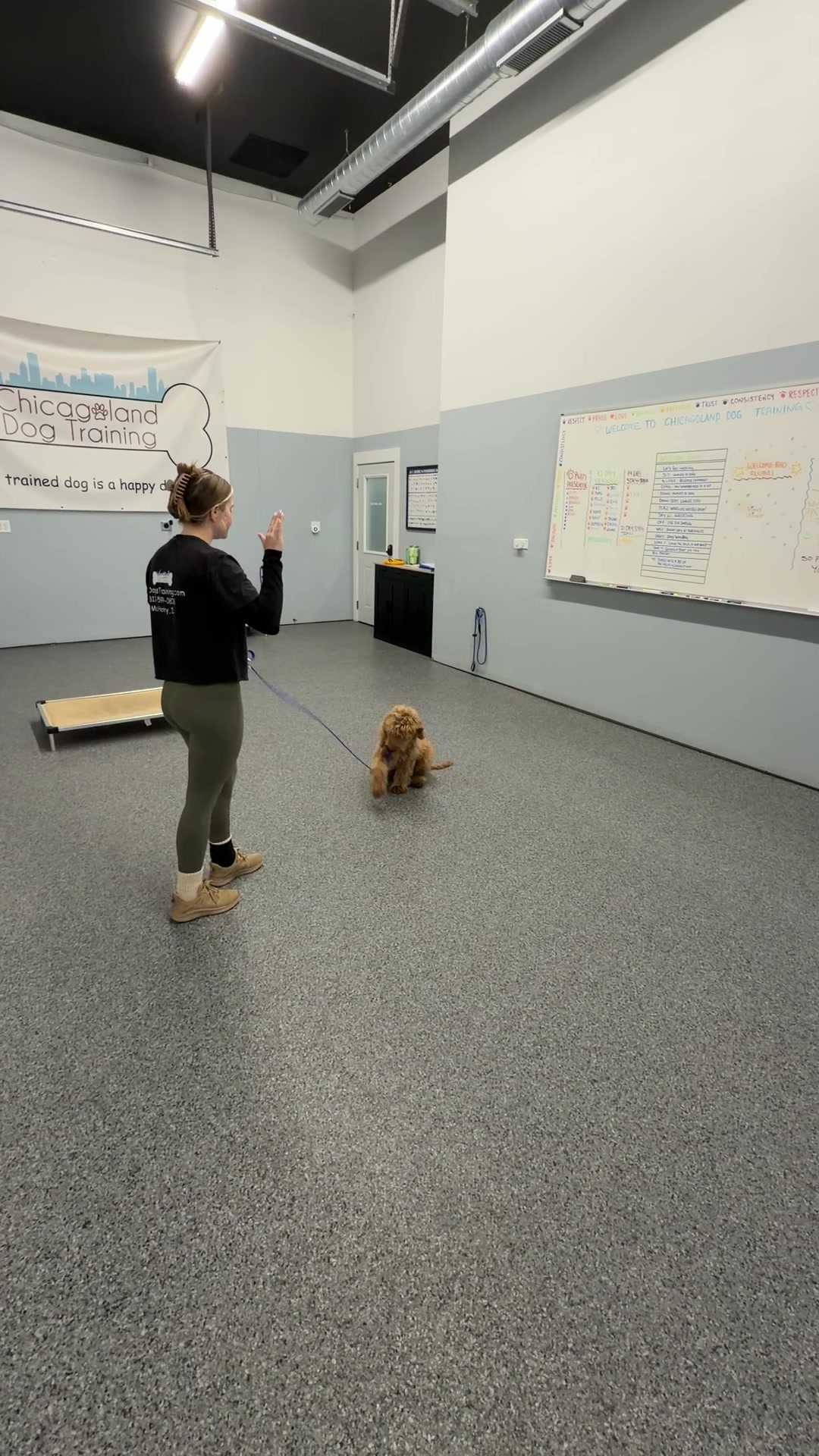 @Chicagoland Dog Training