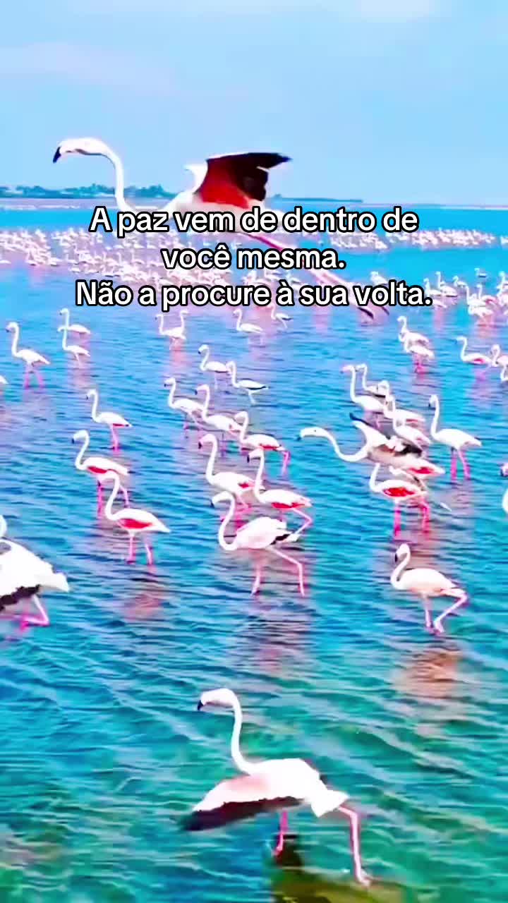 @Rosa Maria Pires