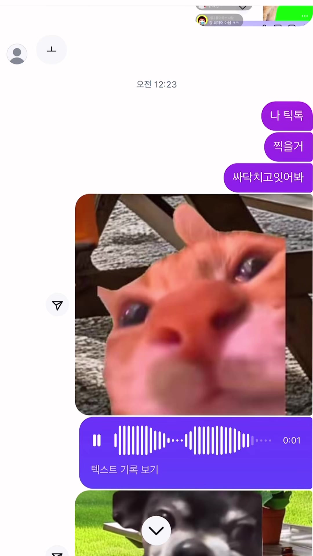 @유총