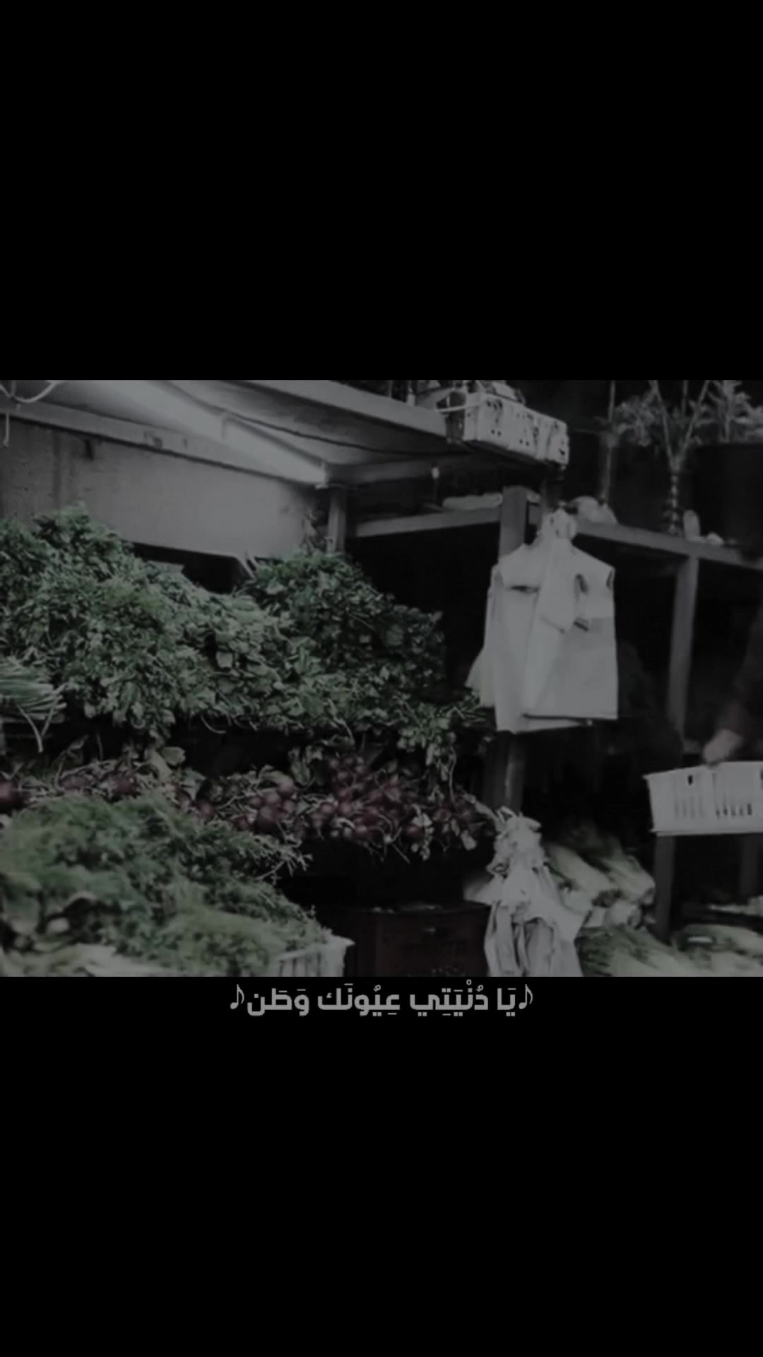 @كــيـمُــو…الــنـســر🦅🩸