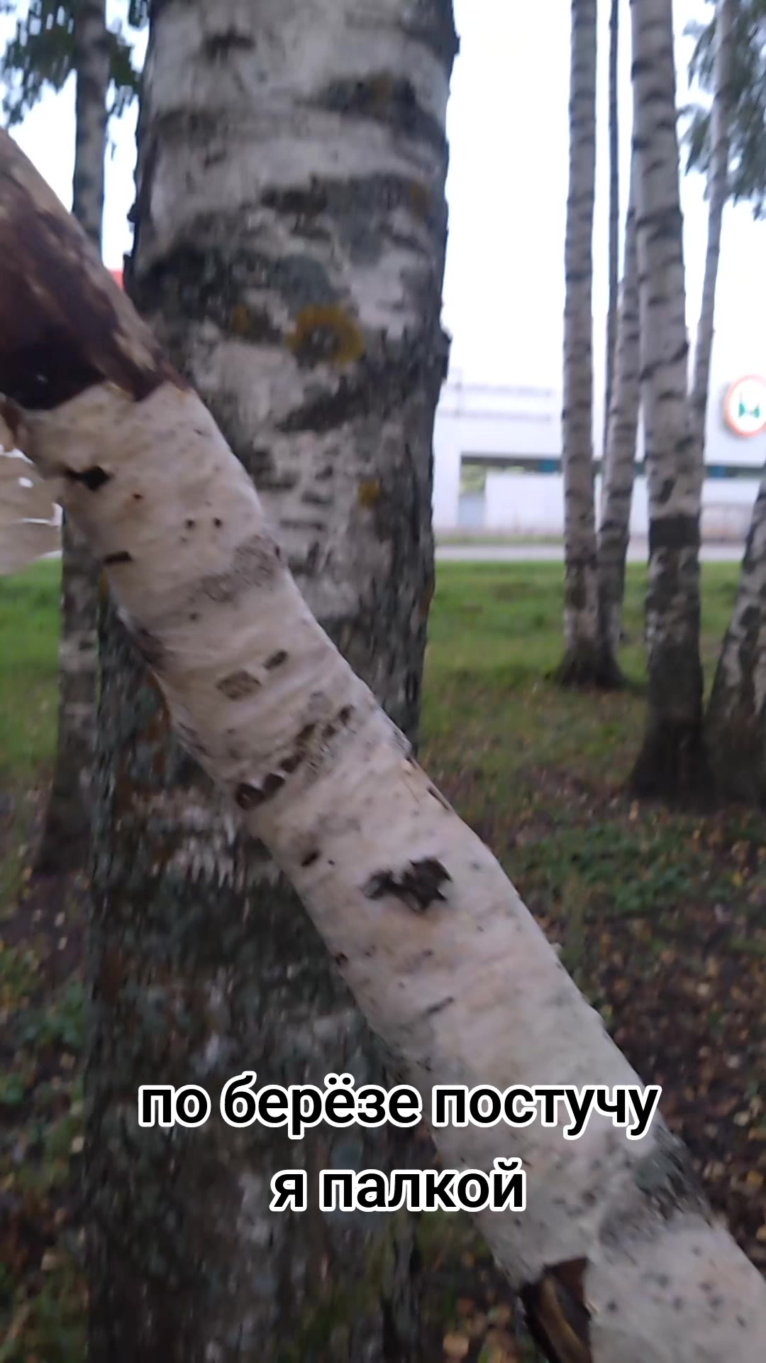 @Ыбан Ачагов