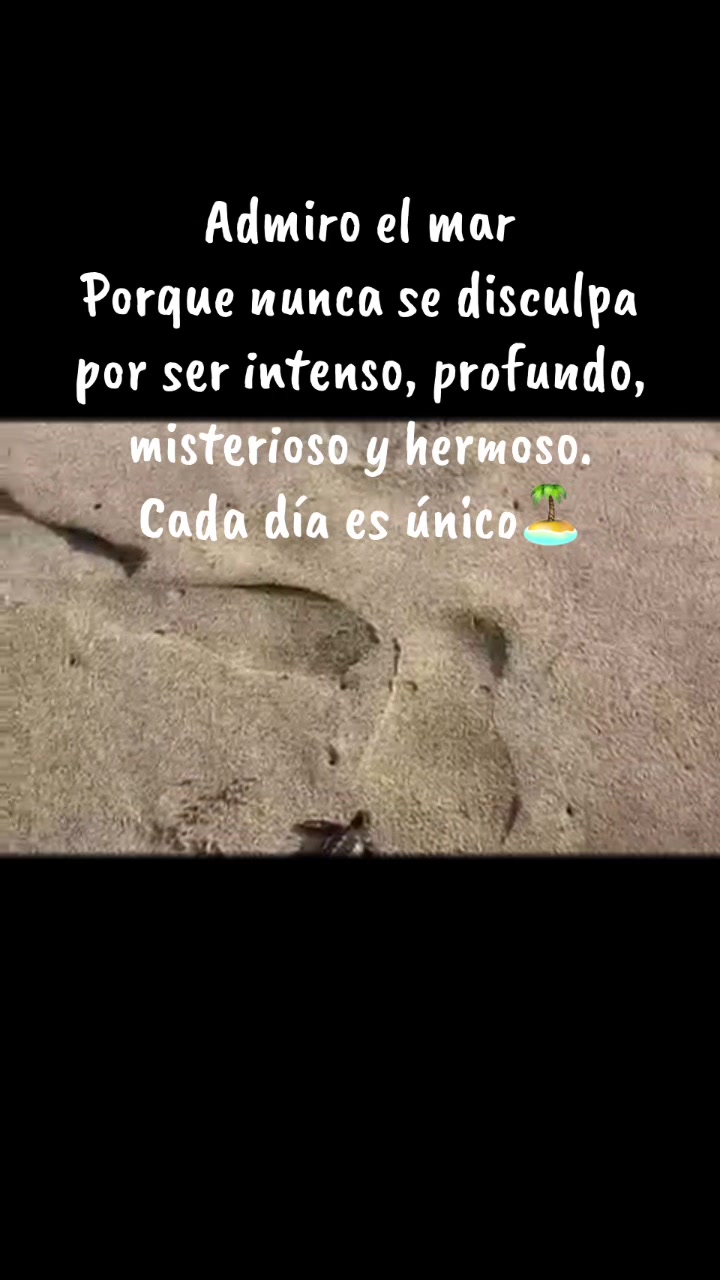 @Alana Trejo