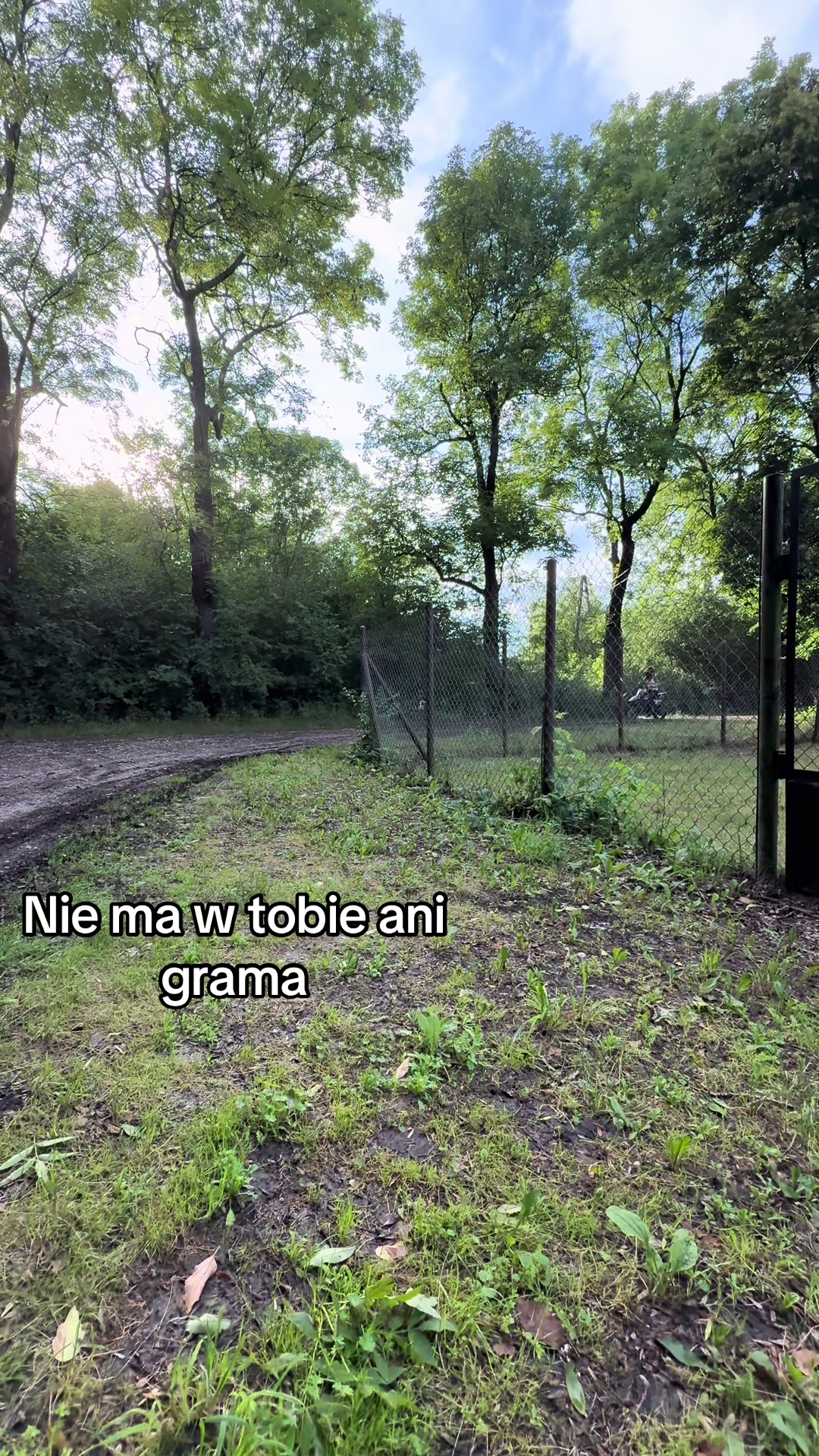 @loleksmolek