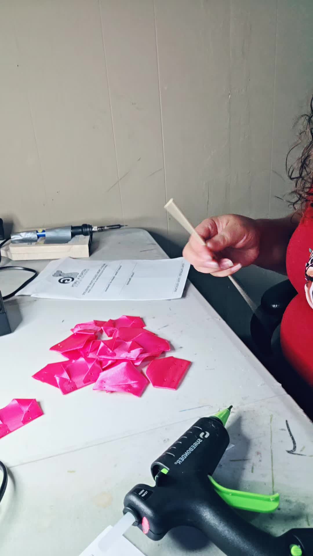 @rosalba segura