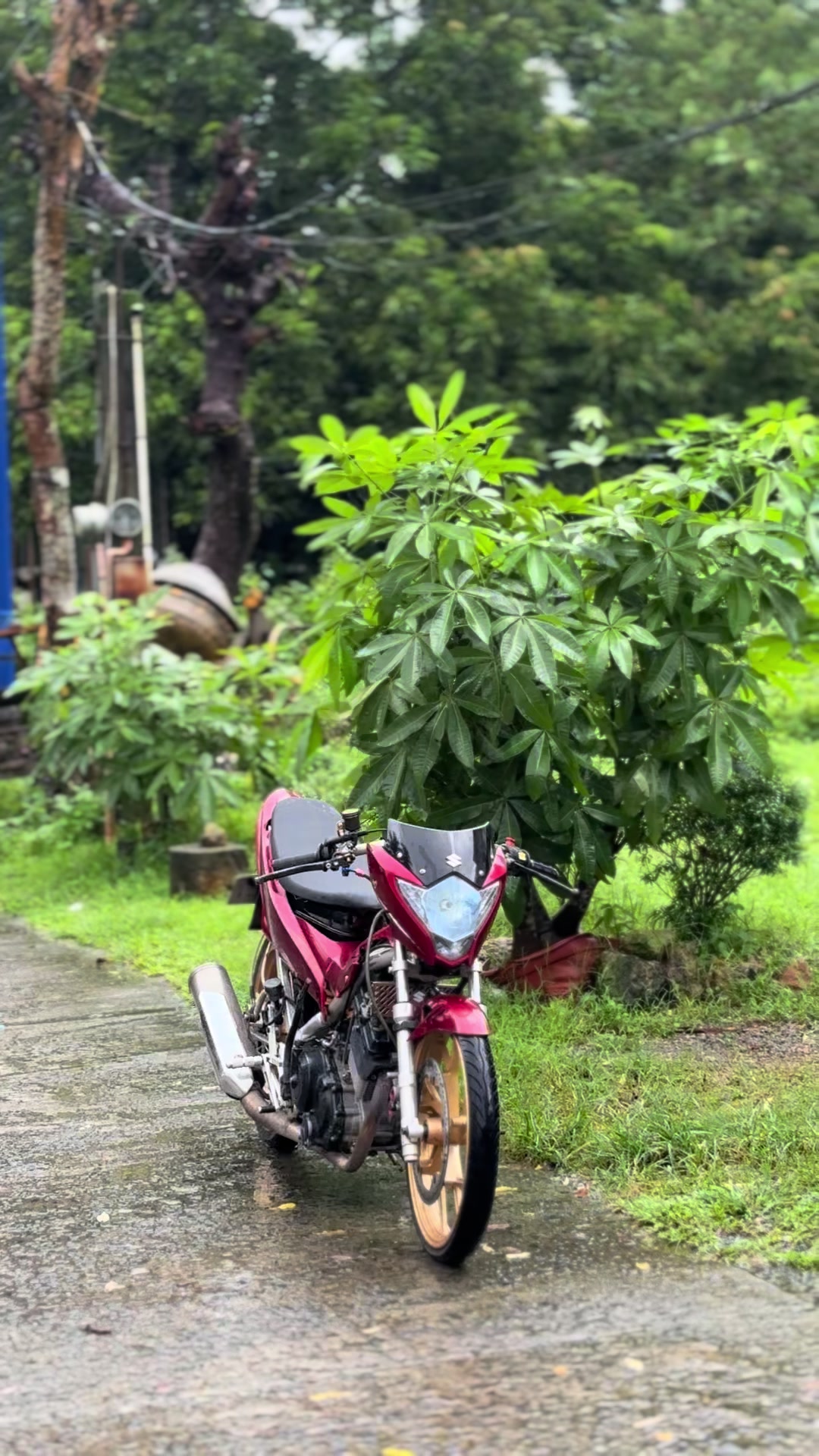 @Boss&ensp;amo🤟