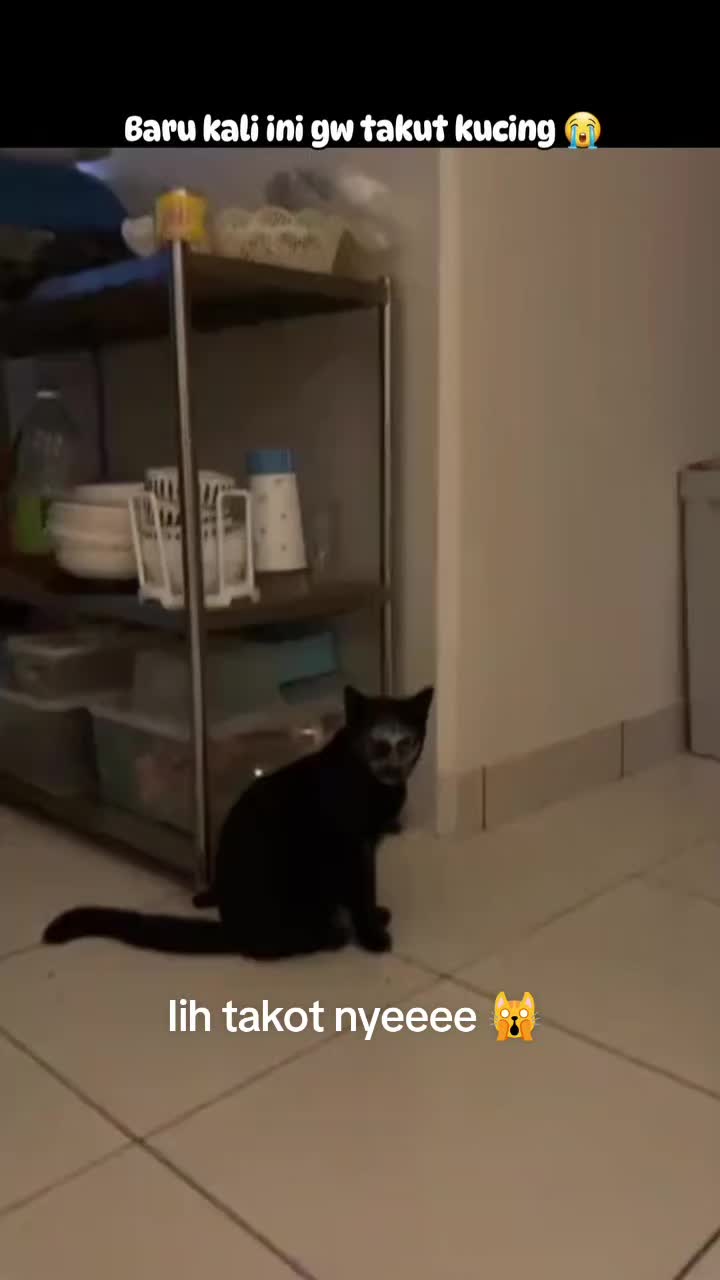 @Kiki
