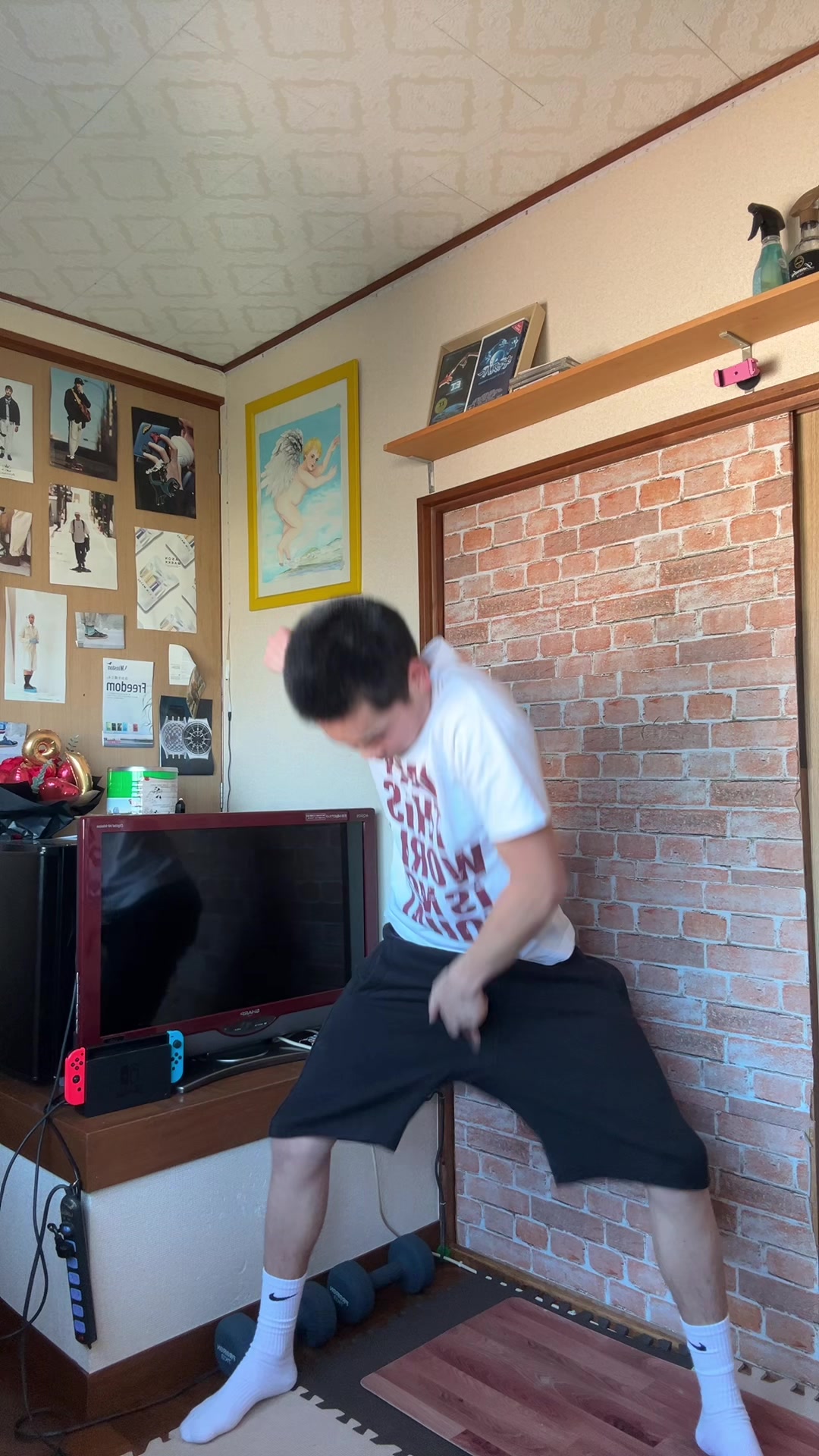 @shiba