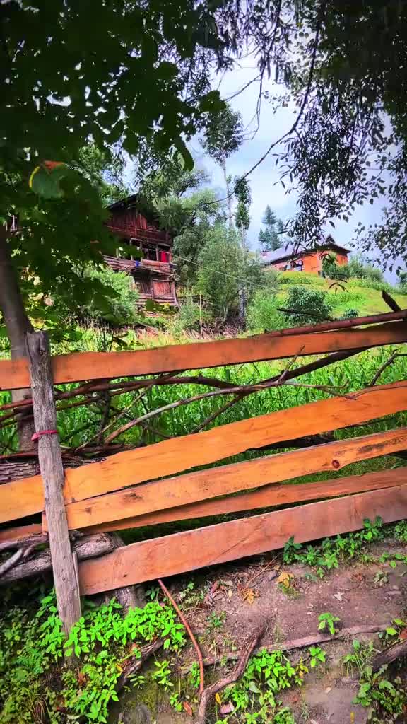 @Neelum Vista Tourism