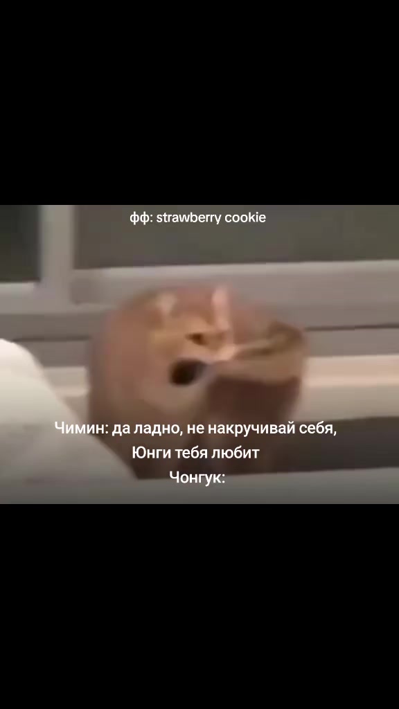 @Mira Solen | тгк mirasolenff
