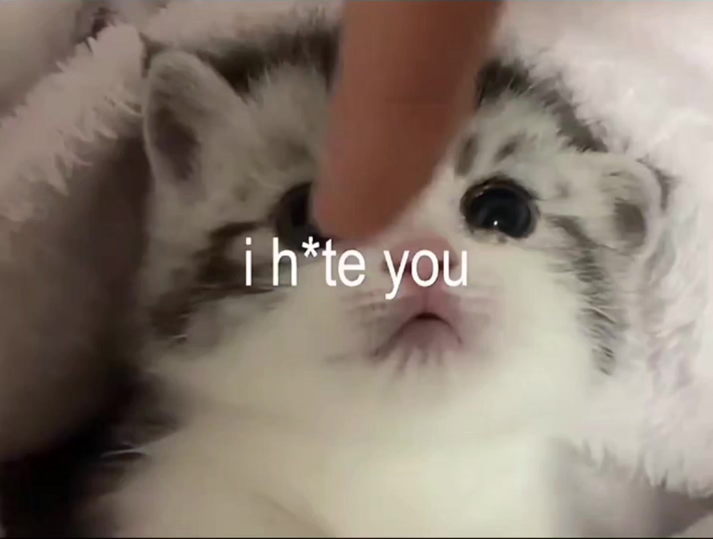 @Okkotsu-Yuta