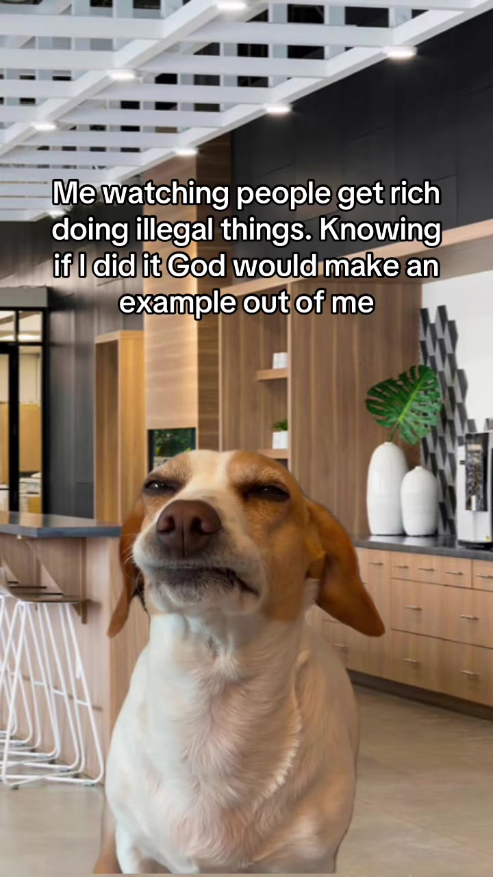 @Click Happy Memes